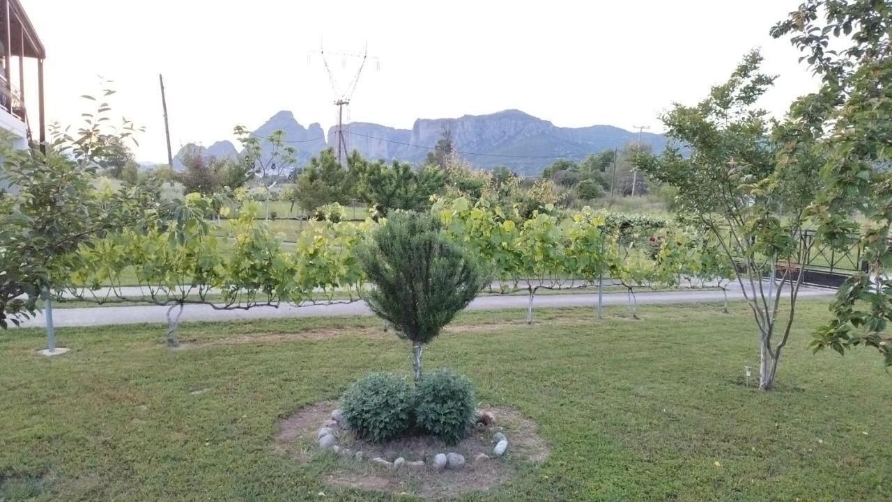 Apartment Meteora Countryside
